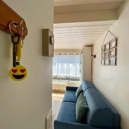 Appartement T2 3 A 4 Pers Proche Telecabine Et Centre Village La Plagne