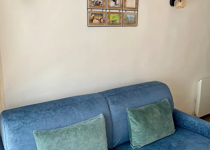 T2 3 A 4 Pers Proche Telecabine Et Centre Village Апартаменты Ла-Плань